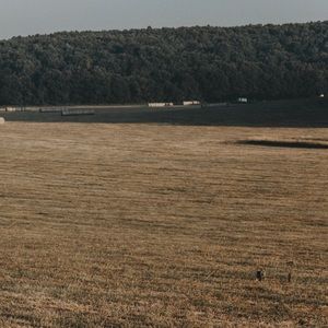 Meet your Posher, Cooper